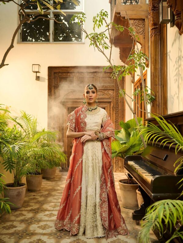 pakistani wedding wear dresses