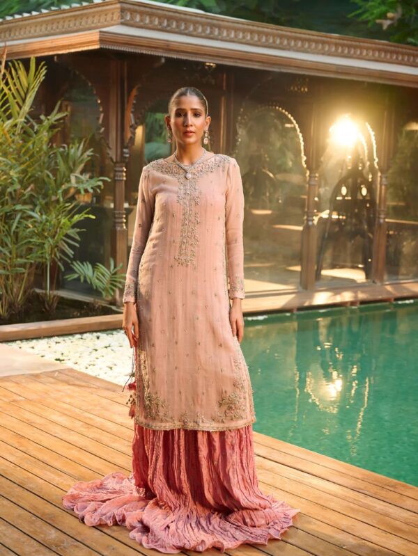 pakistani wedding wear dresses