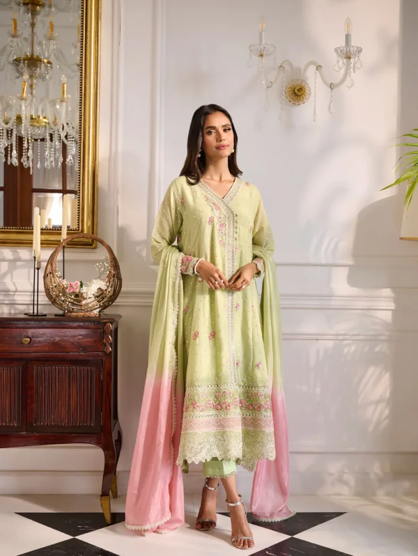 Dhanak Ready to wear 2pc Dress