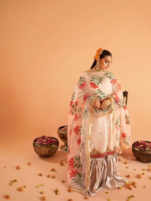 Wedding wear Pakistani dresses