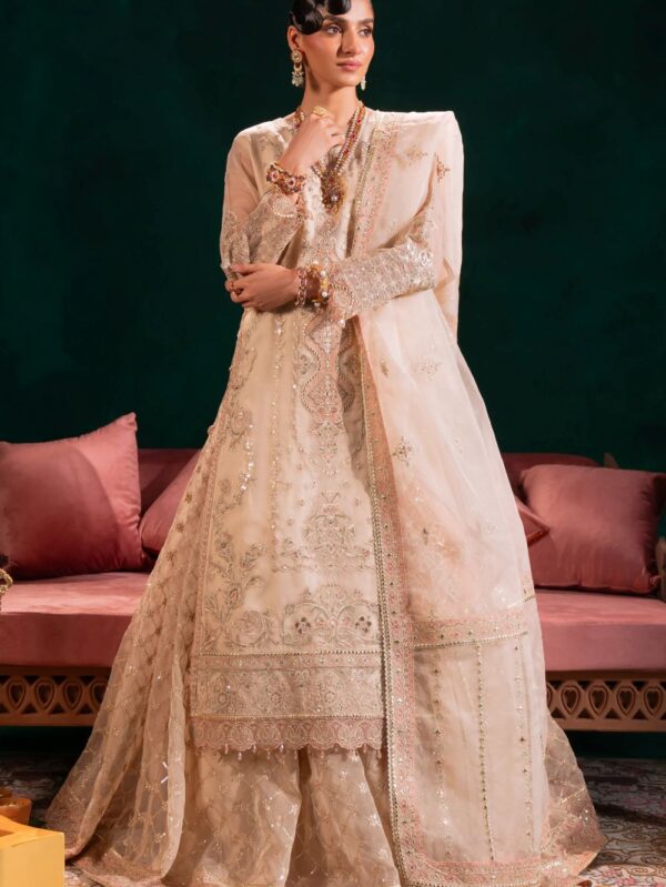 Pakistani wedding wear dresses
