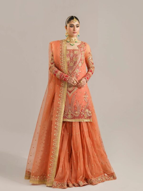 Pakistani formal wear/Party Wear Dress