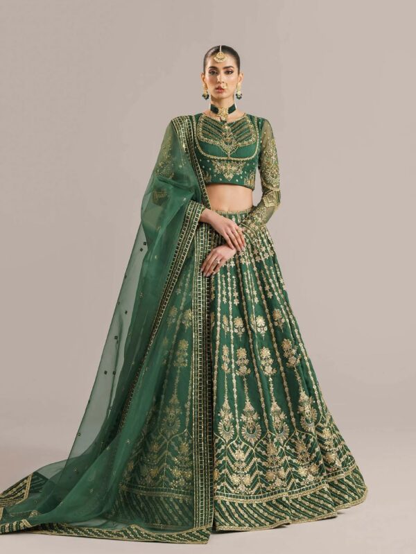 Pakistani formal wear/Party Wear Dress