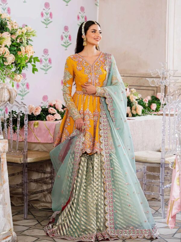 Pakistani formal wear/Party Wear Dress