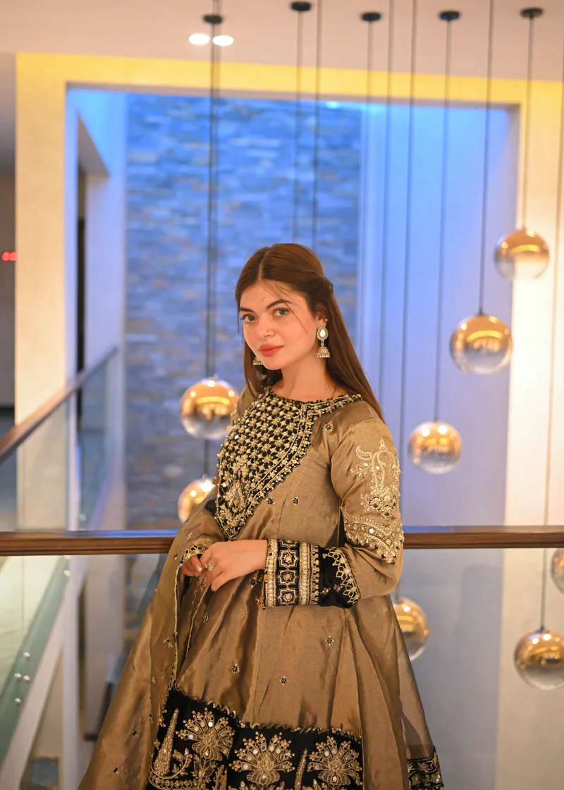 ALLY'S | AL-3763- 3 Piece Gharara | Festive/Party Wear - Image 7