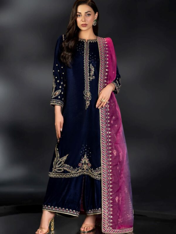 Luxury Velvet Dress By Naqshi