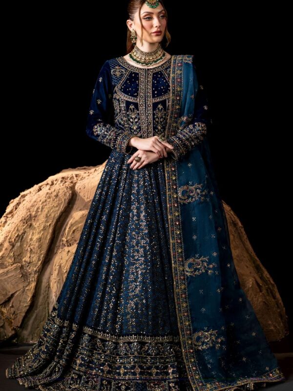 Luxury Velvet Dress By Naqshi