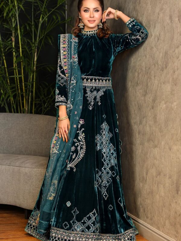 Luxury Velvet Dress By Naqshi