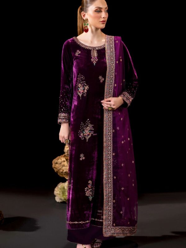 Luxury Velvet Dress By Naqshi
