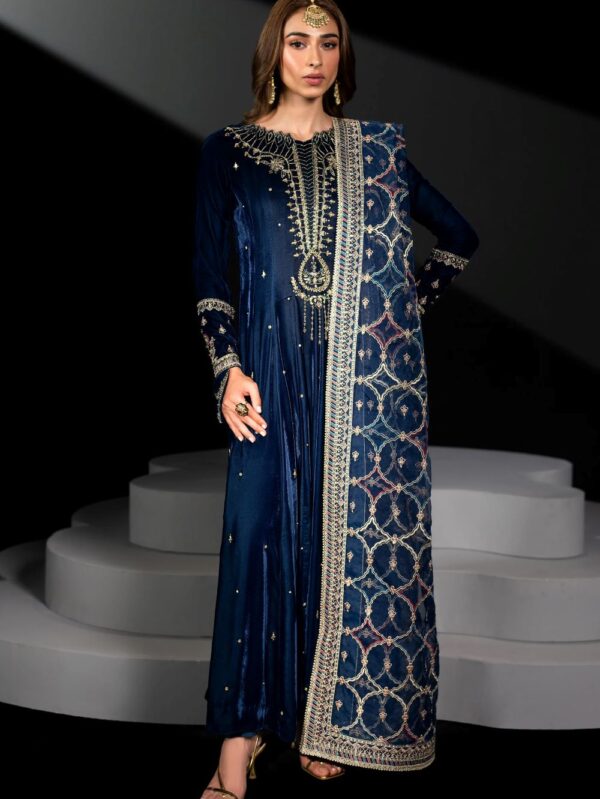 Luxury Velvet Dress By Naqshi