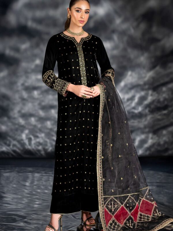 Luxury Velvet Dress By Naqshi