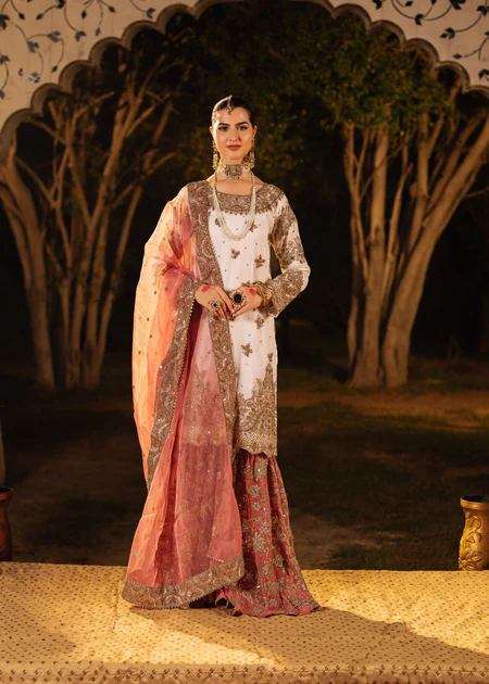 Luxury Party wear by Haseen's
