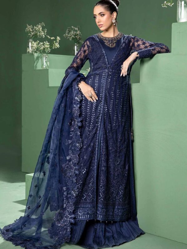 3 Piece Embroidered Net Suit | SF-W24-44