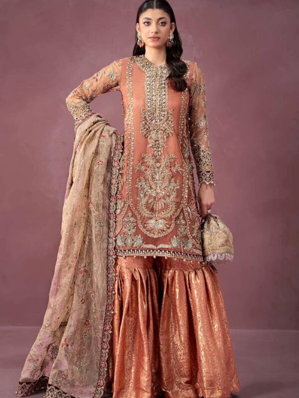 3 Piece Embroidered Zari Net Suit | SF-W24-62