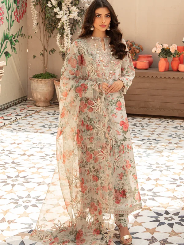 Luxury pakistani dresses online