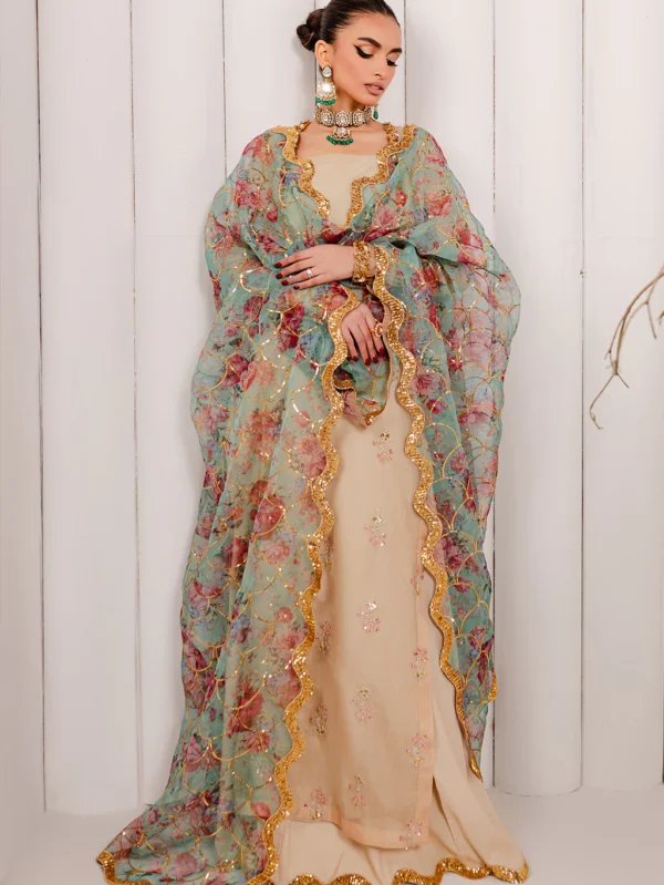 Luxury pakistani dresses online