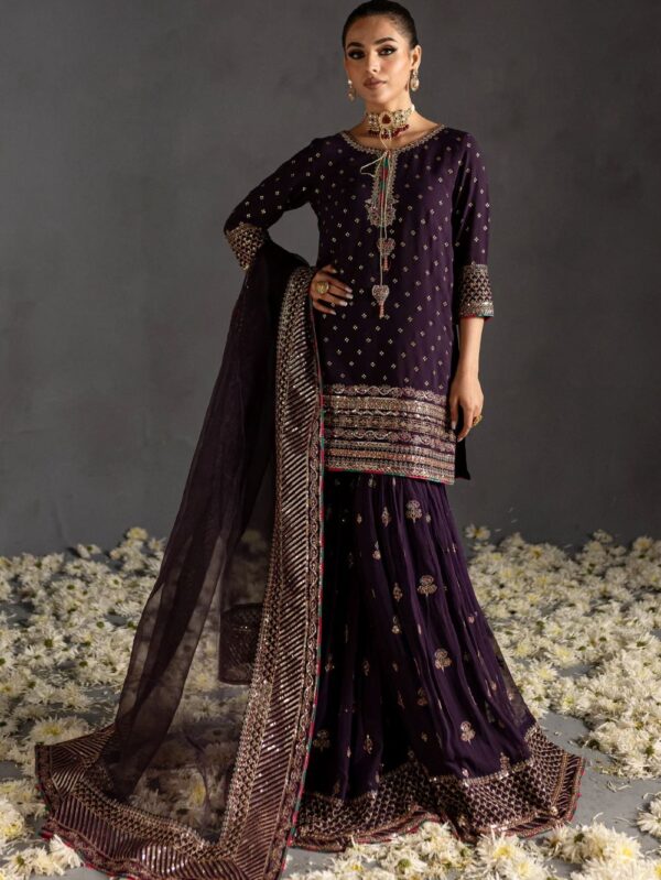 Luxury Pakistani wedding wear dresses