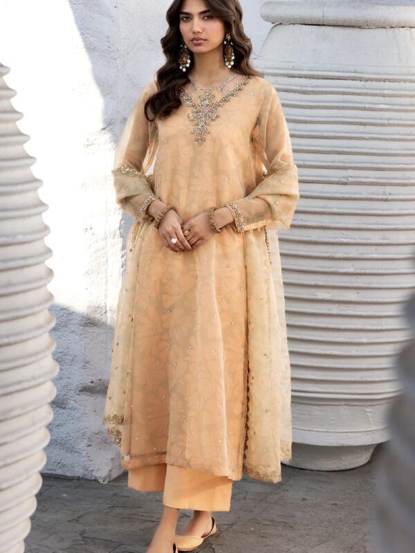 3-PC Embroidered Organza Suit CMA-5-08